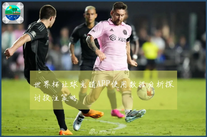 世界杯让球竞猜APP使用数据分析探讨投注策略