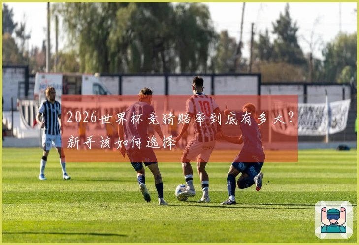 2026世界杯竞猜赔率到底有多大？新手该如何选择