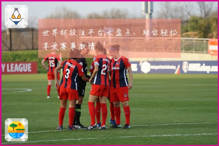 世界杯投注平台大盘点，助你轻松享受赛事激情