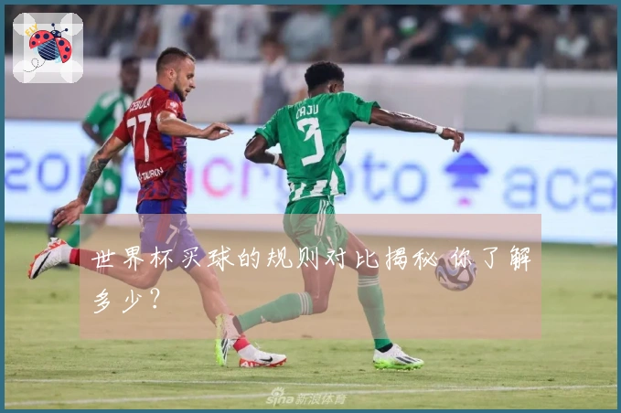 世界杯买球的规则对比揭秘 你了解多少？