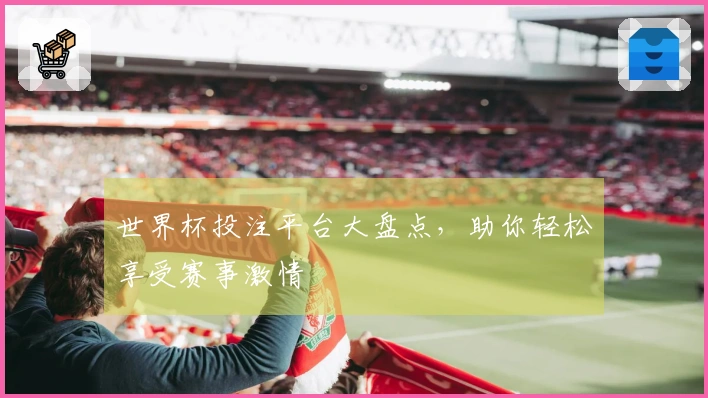 世界杯投注平台大盘点，助你轻松享受赛事激情