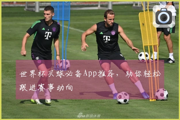 世界杯买球必备App推荐，助你轻松跟进赛事动向
